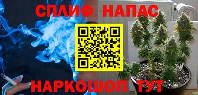 тгк Тула