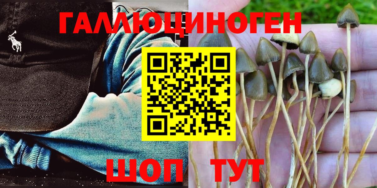 Галлюциногенные грибы Magic Shrooms Богданович