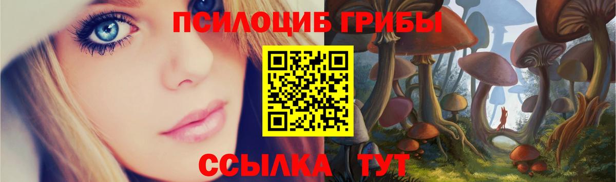 Псилоцибиновые грибы Cubensis  Вход с VPN  Богданович  Псилоцибиновые грибы прущие грибы 