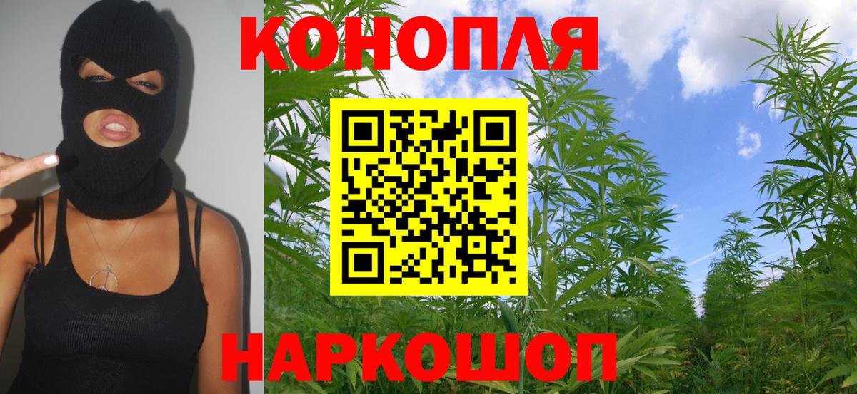 Бошки Шишки планчик  Марихуана SATIVA & INDICA  Богданович  Вход с VPN  Канабис THC 21% 